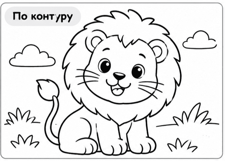 раскраски разных видов