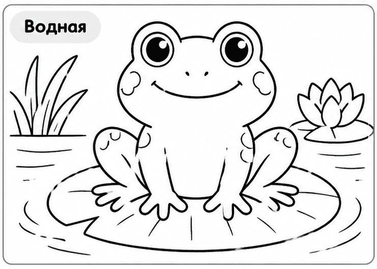 виды раскрасок для детей
