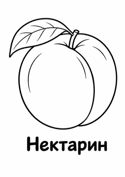Раскраски фруктов