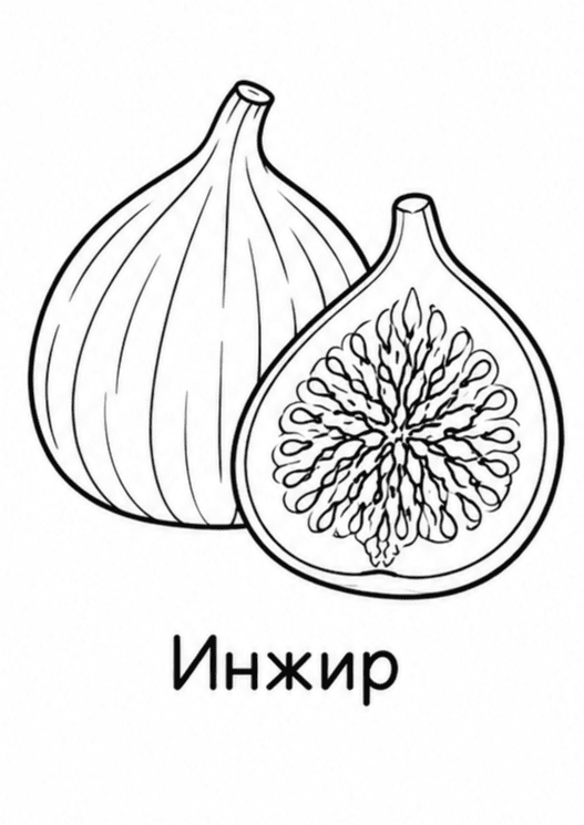 Раскраски фруктов