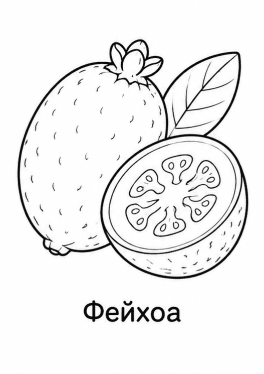 Раскраски фруктов