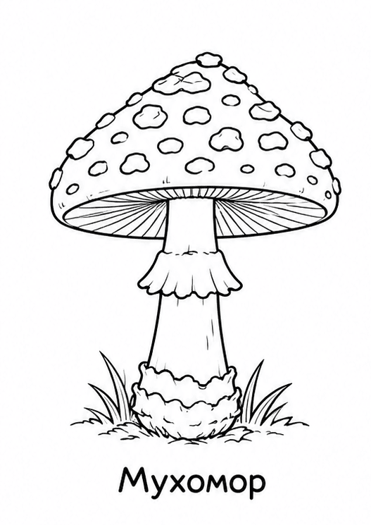 Раскраски грибов