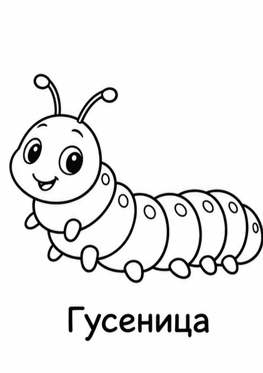 Раскраски насекомых