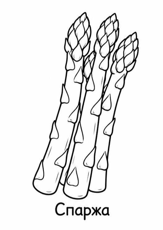 Раскраски овощей