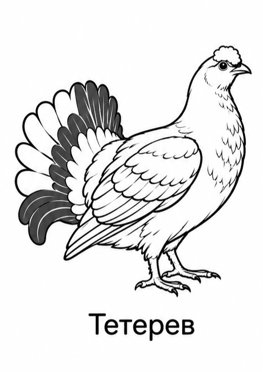 Раскраски птиц
